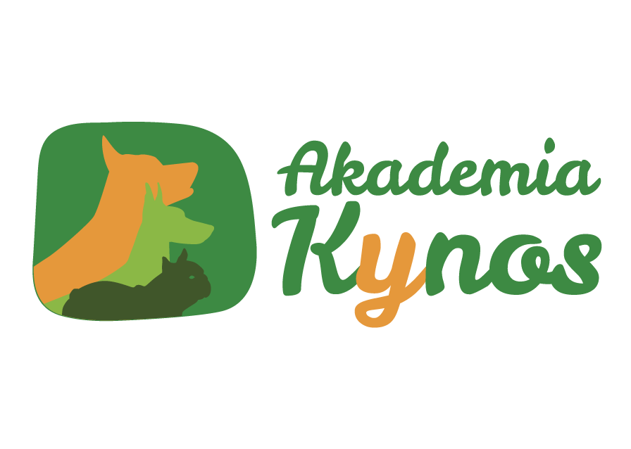 Diseño de logo  AKADEMIA KYNOS